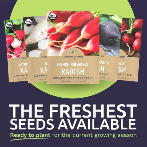 Sweet Yards Easter Egg Blend radish seeds for colorful salads