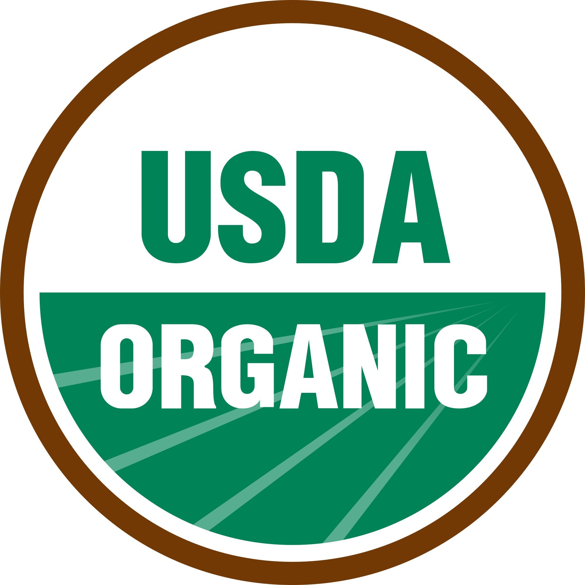 Sweet Yards indoor/outdoor garden setup with herb seeds for year-round growing