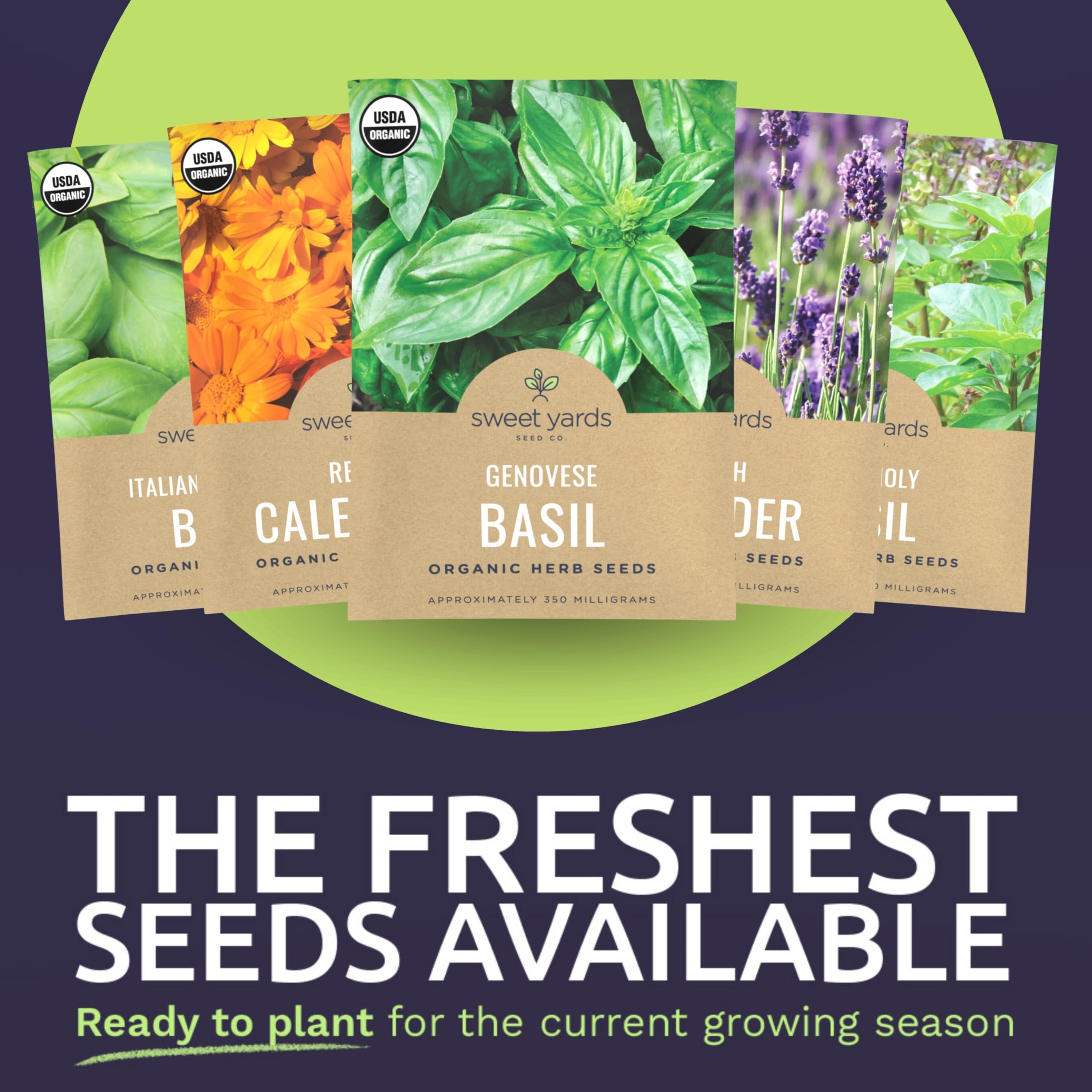 Sweet Yards lemon basil seeds for bright citrus notes in meals