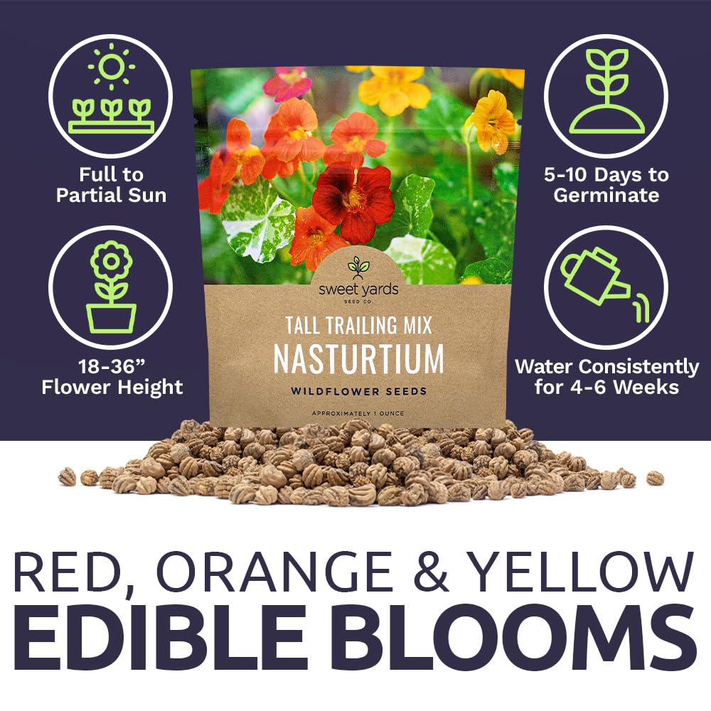 SWEET YARDS Nasturtium seeds edible flowers brighten salads with peppery notes