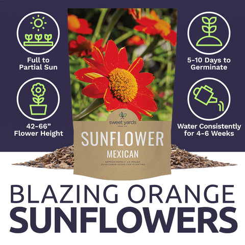 Sweet Yards pollinator-friendly blooms attracting butterflies and bees