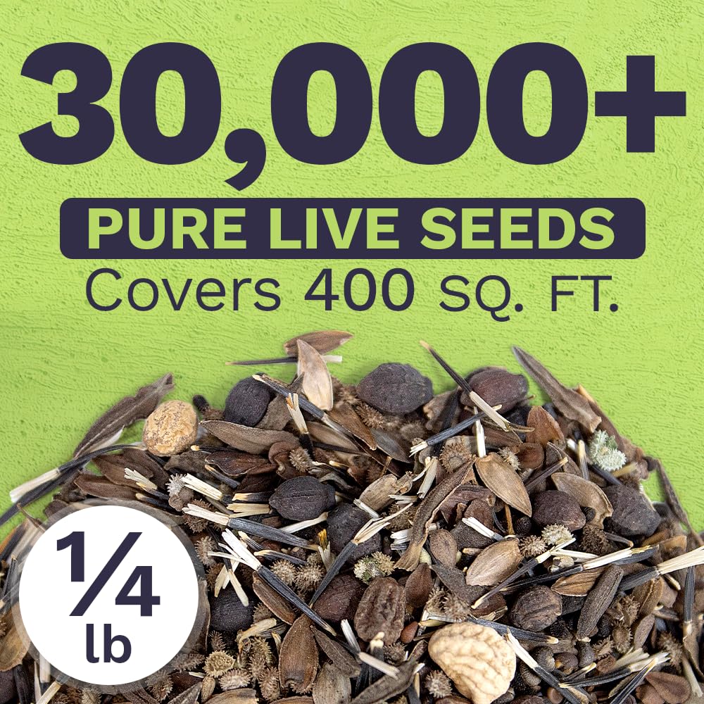 Sweet Yards premium packaging seed pouch demonstrates reliable storage and freshness.