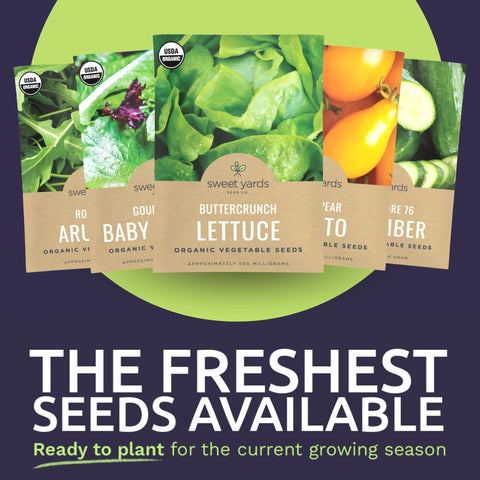 Sweet Yards Salad Lover Pack Roquette Arugula delivers peppery greens for quick meals