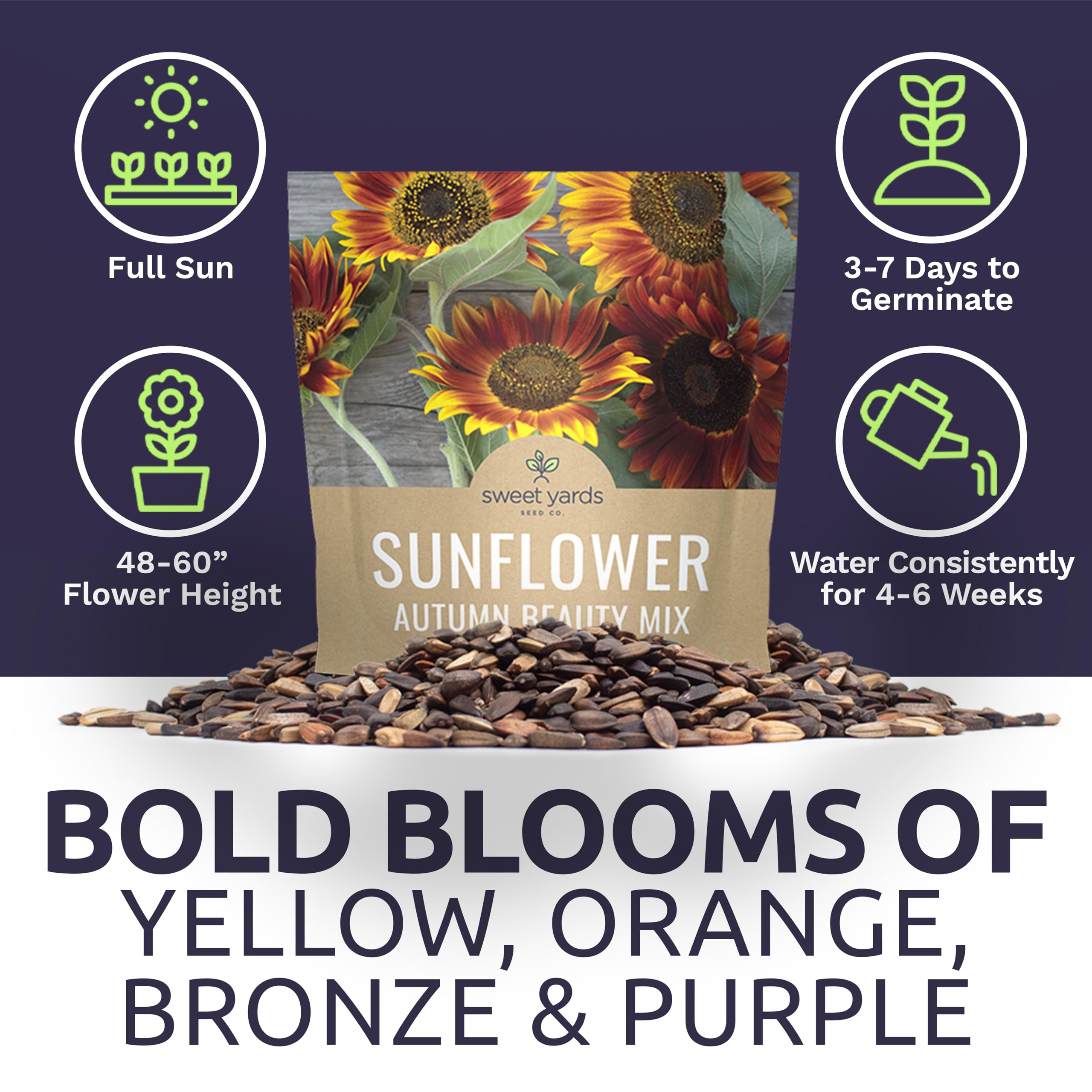 Sweet Yards Sunflower seeds grow tall plants reaching 4–5 ft for borders