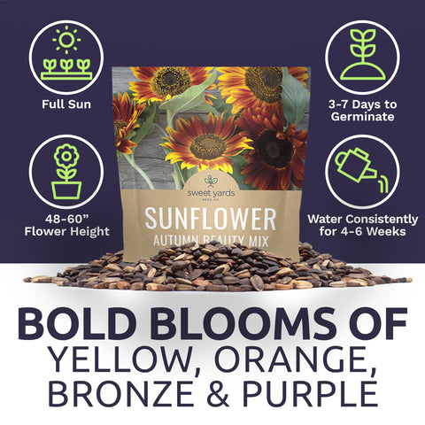 Sweet Yards Sunflower seeds grow tall plants reaching 4–5 ft for borders