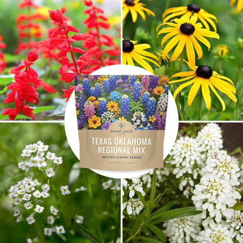 Sweet Yards high germination seed mix for quick seasonal color