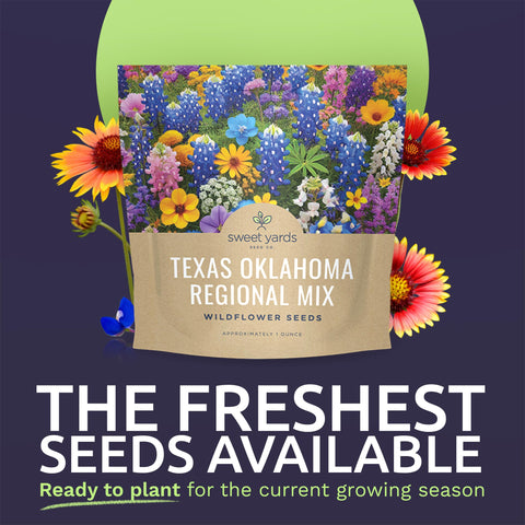 Sweet Yards packaging highlights fresh seeds and storage-friendly design