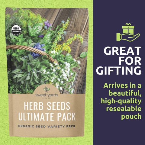 Sweet Yards English thyme seeds for savory roasts and herb-infused dishes