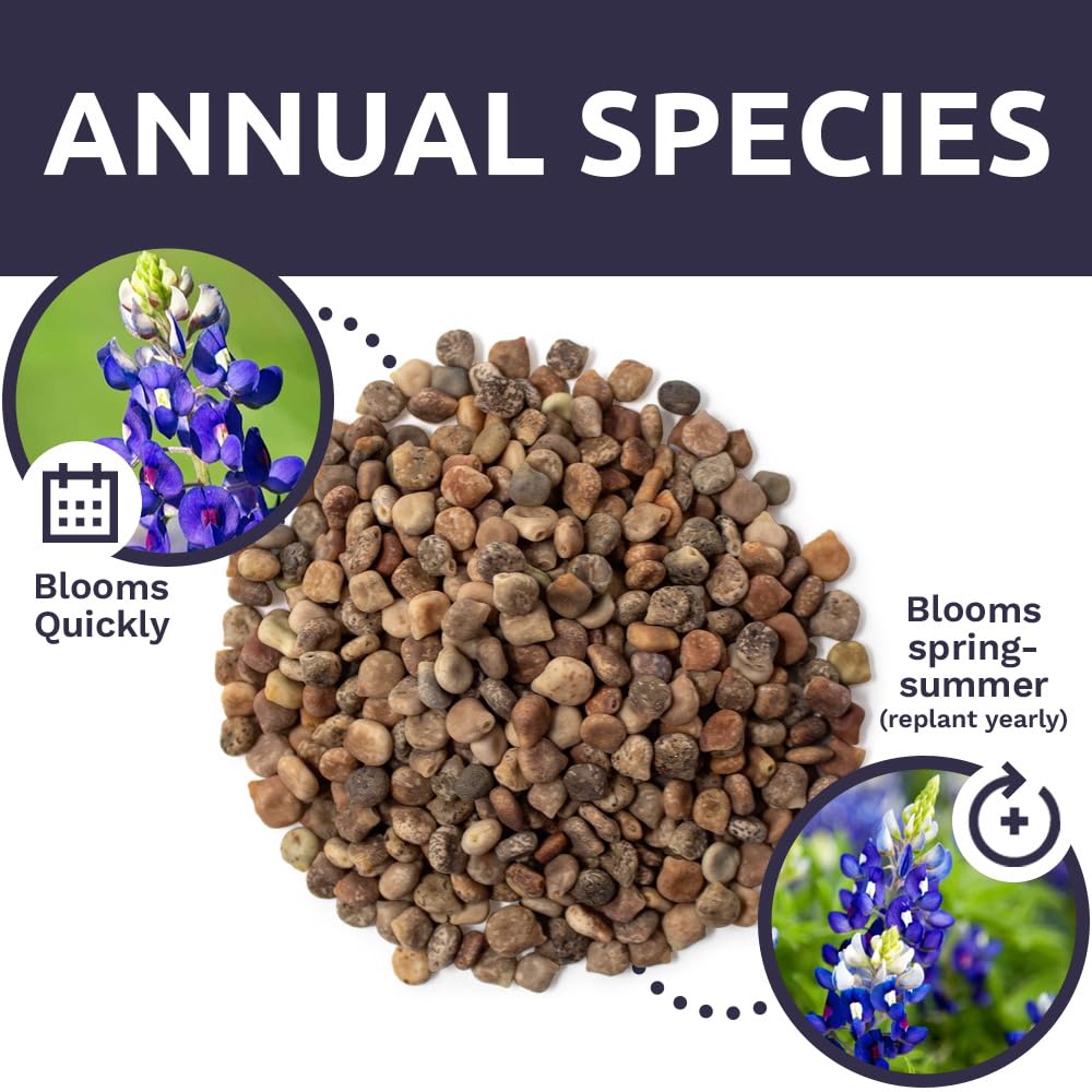 USA-sourced seeds from Sweet Yards for trustworthy wildflower planting.