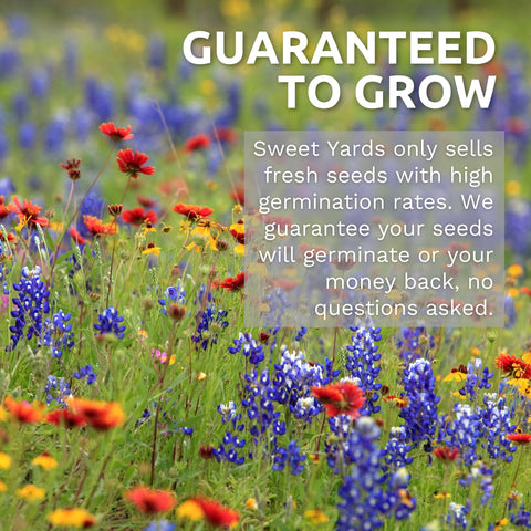 Sweet Yards White Dutch Clover bulk seeds enable large planting areas