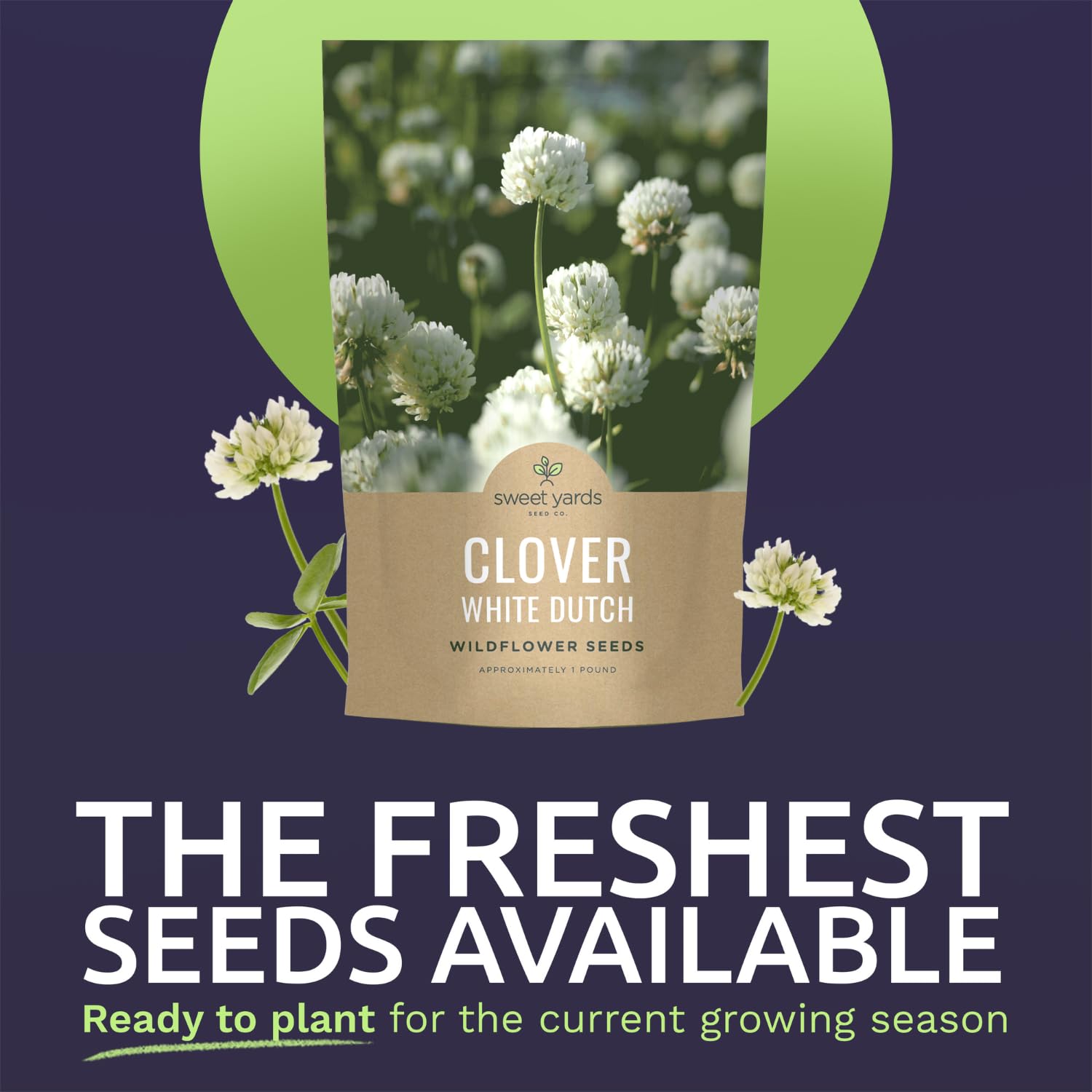 Sweet Yards White Dutch Clover lawn-alternative setup for low maintenance