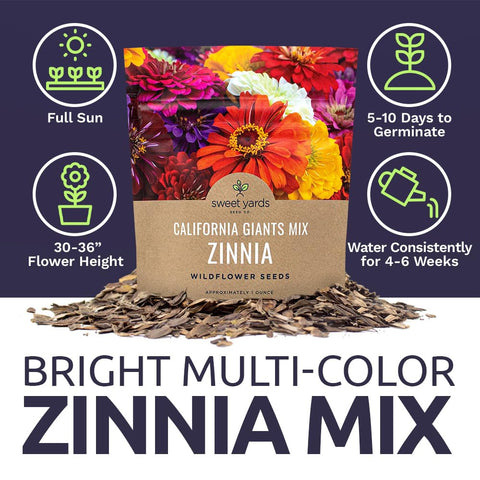Sun-loving Sweet Yards Zinnia Seeds California Giants Mix blooms in bright sunshine.