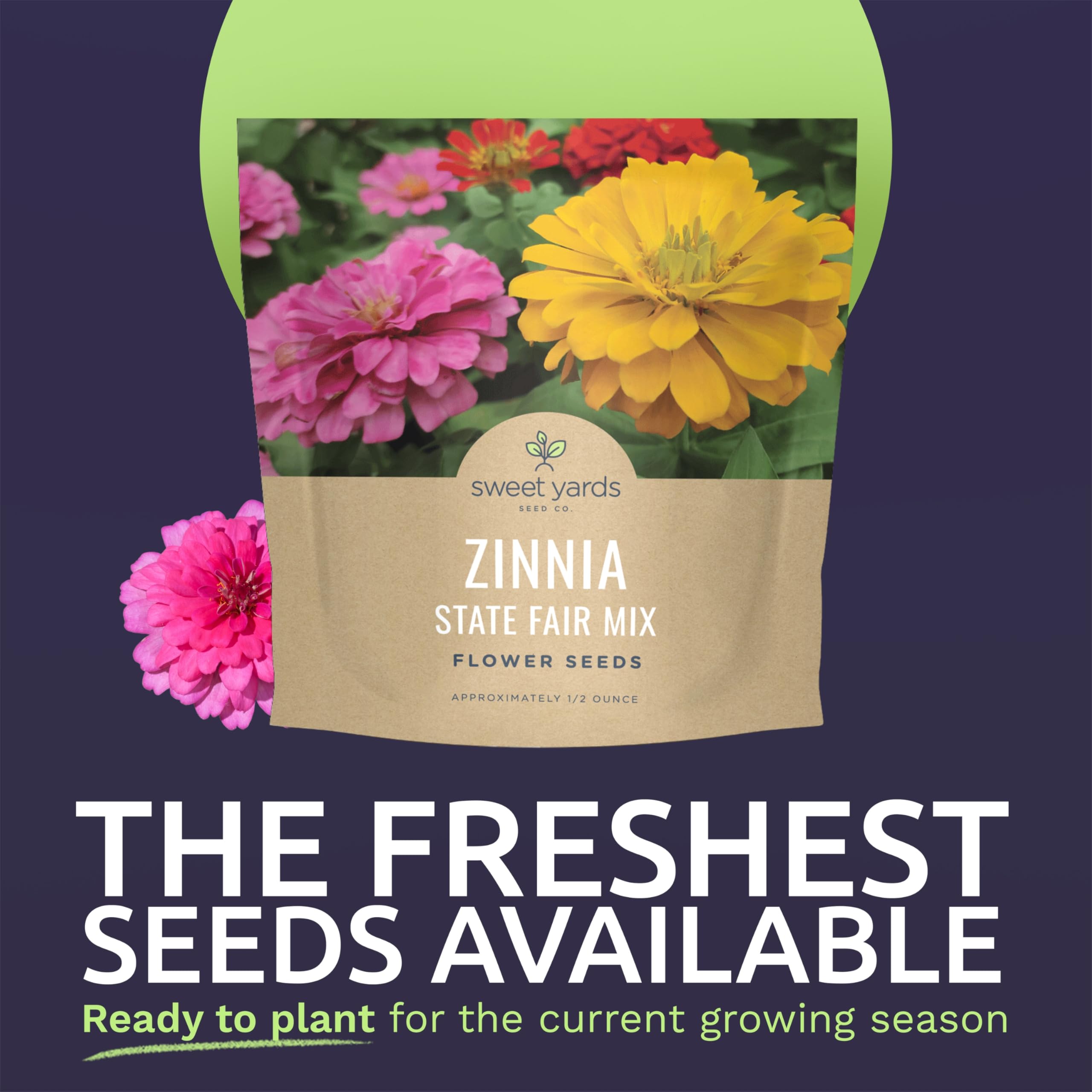 Sweet Yards Zinnia State Fair bloom previews, ideal for planting beds and patio containers.