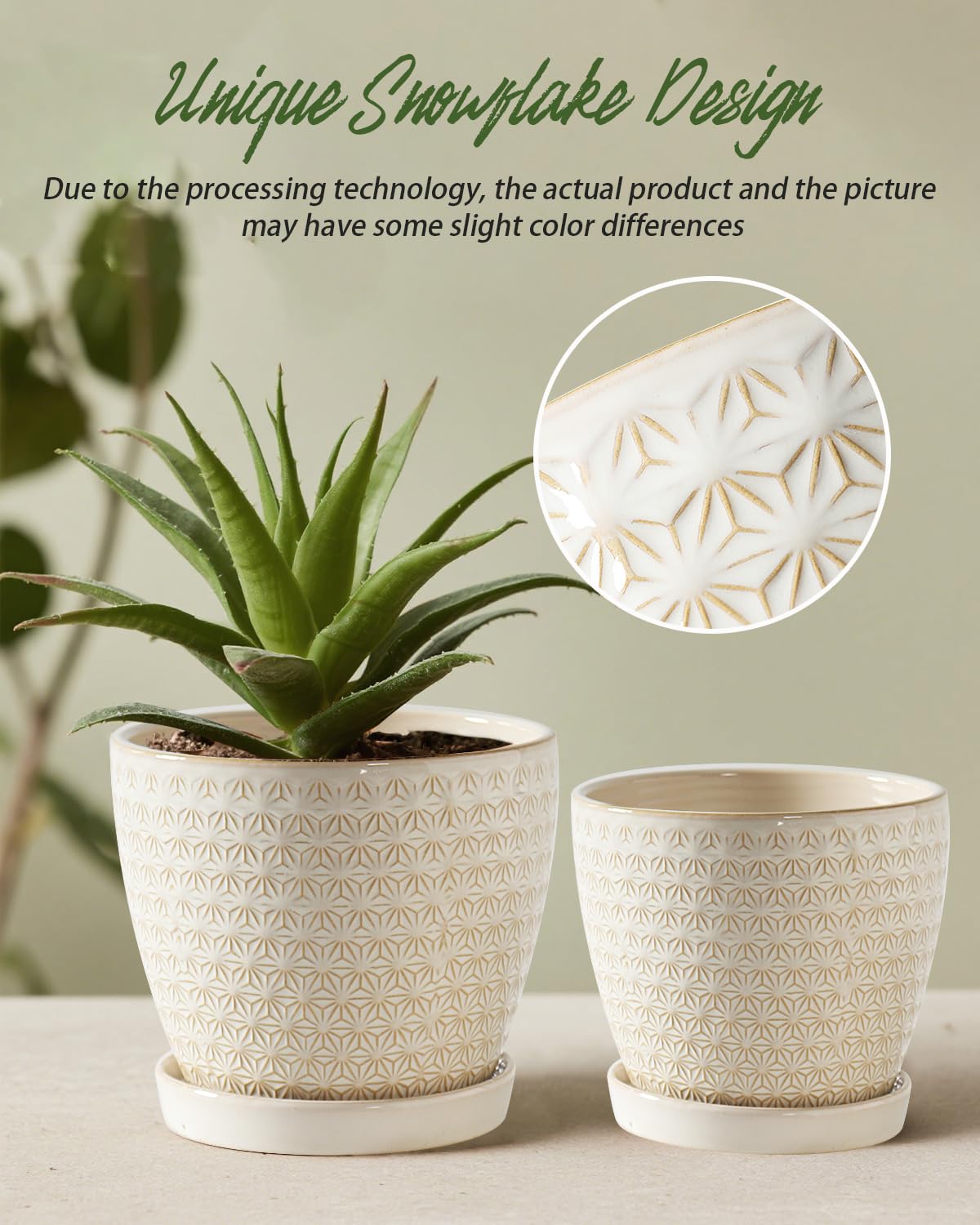 Swicken planter accessories with silicone plug and saucer to prevent leaks.
