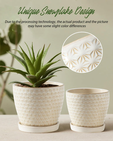 Swicken planter accessories with silicone plug and saucer to prevent leaks.