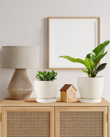 Swicken ceramic pot packaged as a gift for plant lovers.