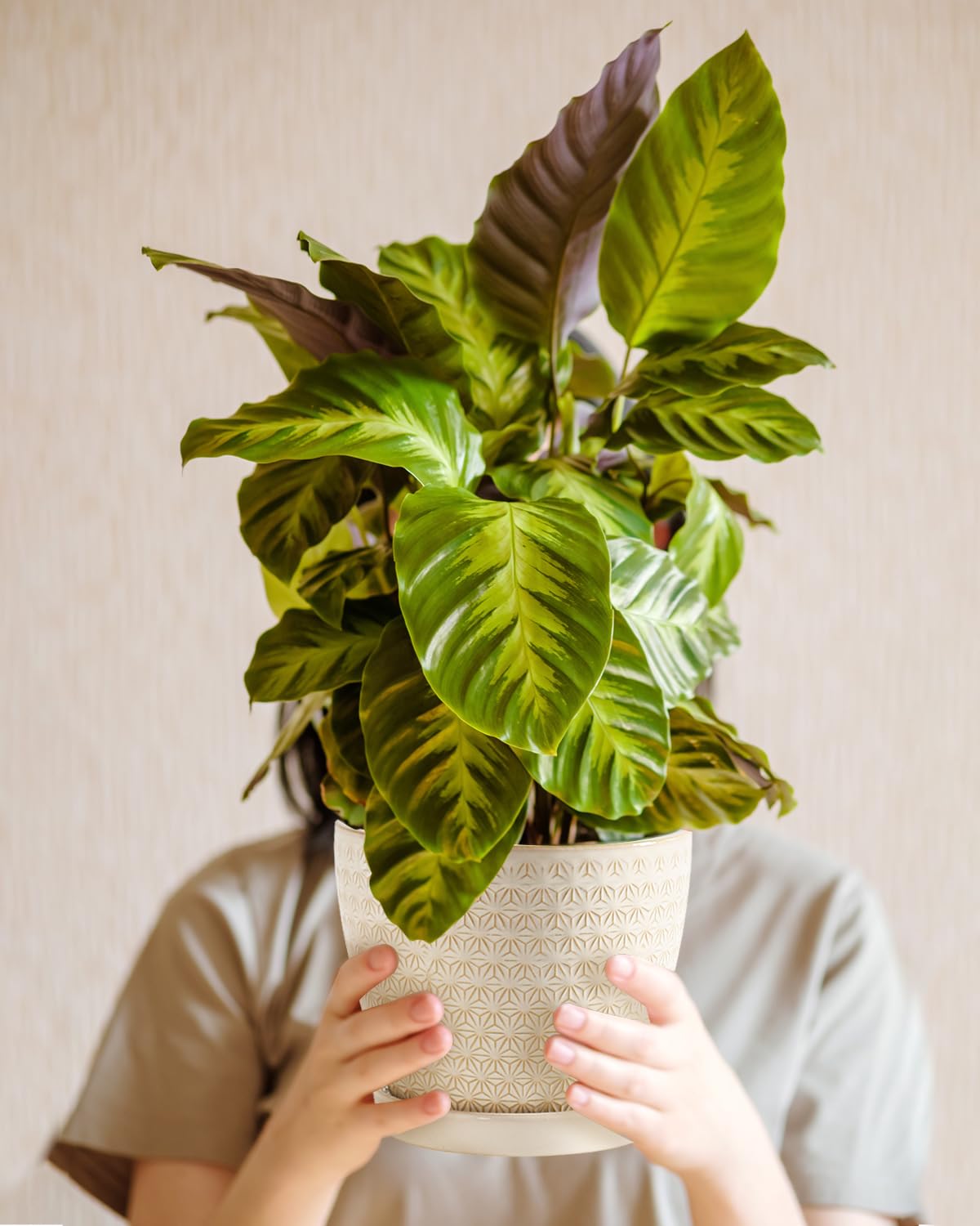 Swicken white planter displayed in an office setting for modern style.