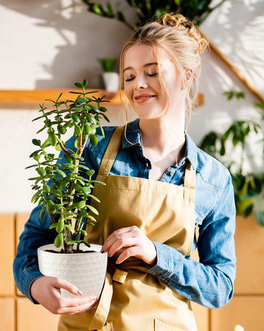 Swicken packaging protects ceramic planters during shipping.