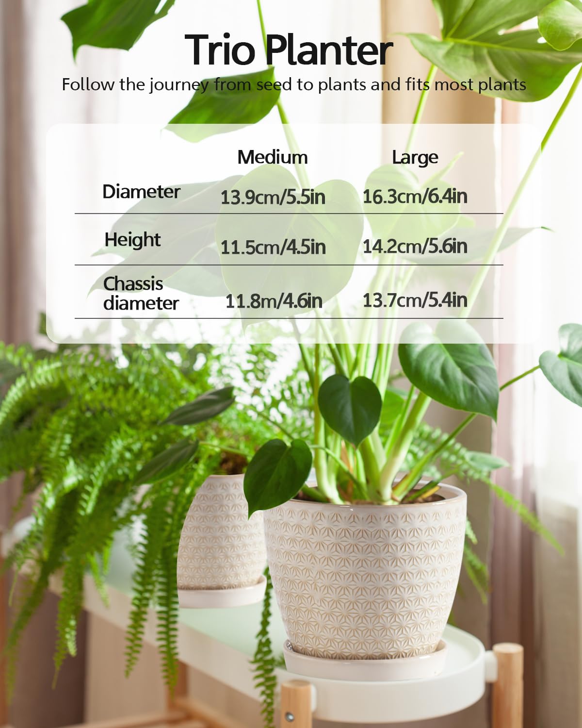 Swicken small crackle glaze plant pot ideal for compact indoor spaces.
