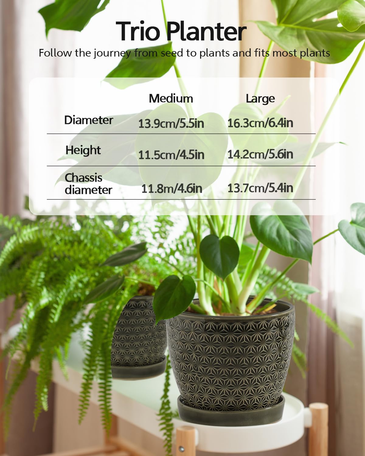 Swicken 6.7-inch ceramic planter with green crackle glaze for larger plants
