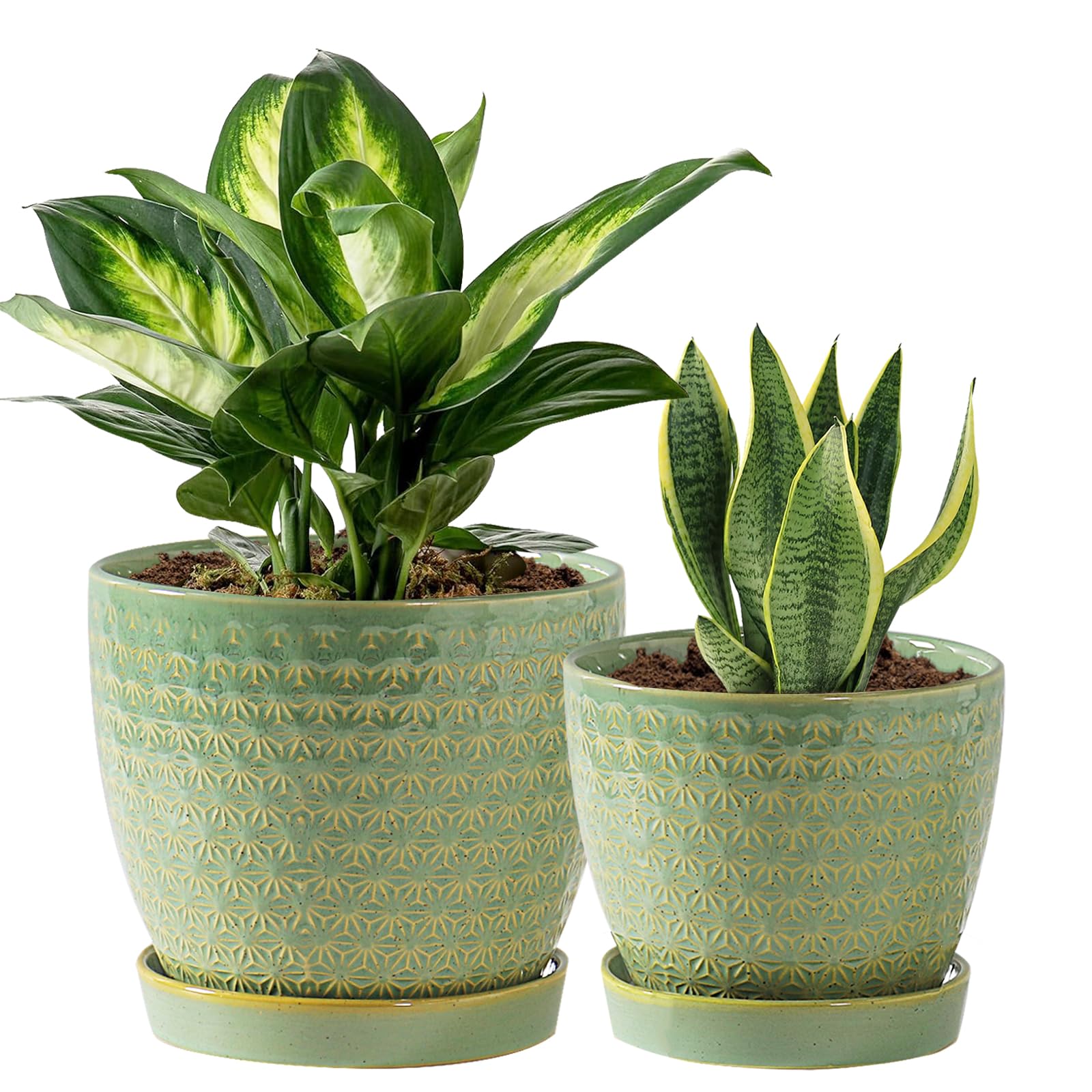 Swicken sage-green crackle texture planter adds a stylish touch to any room