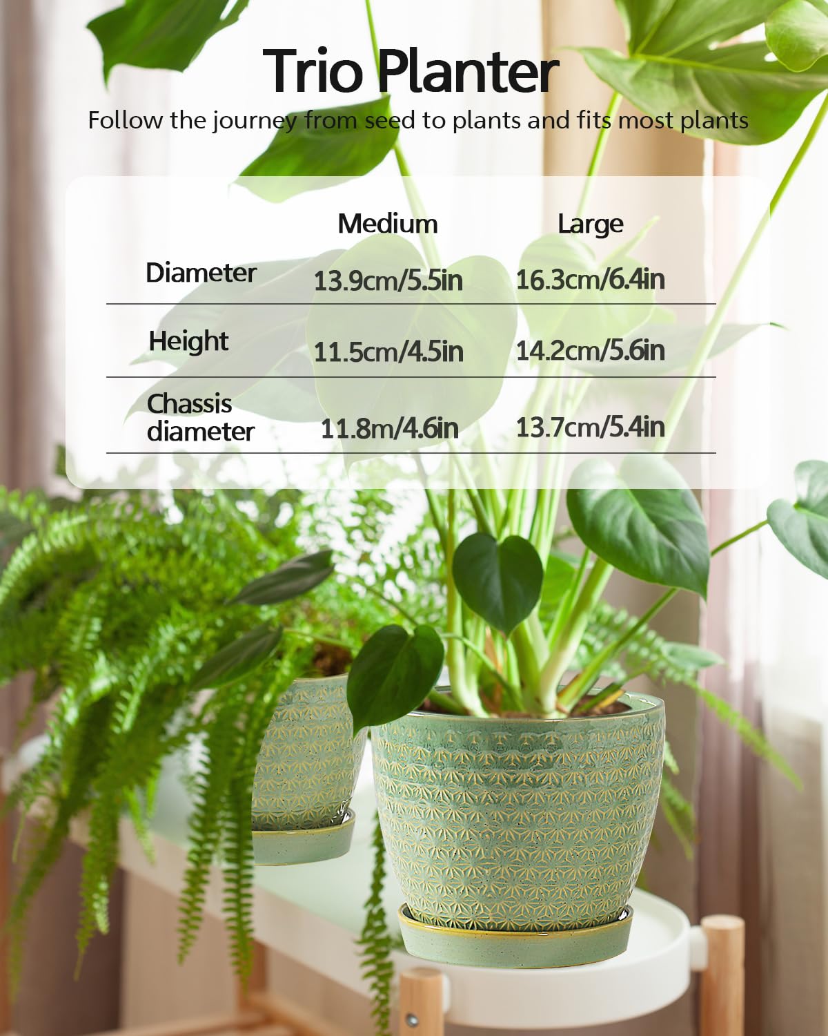Swicken sage-green planter with drainage hole and saucer helps manage moisture