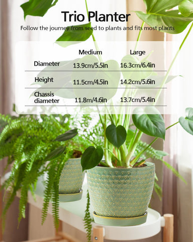 Swicken sage-green planter with drainage hole and saucer helps manage moisture