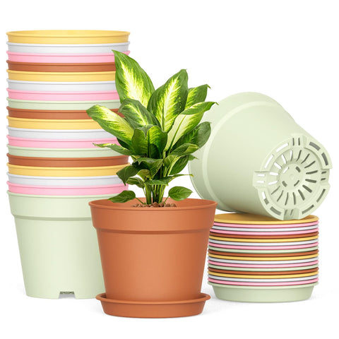 SwinDuck 20-pack 6-inch pots with drainage holes and saucers for indoor and outdoor plants.