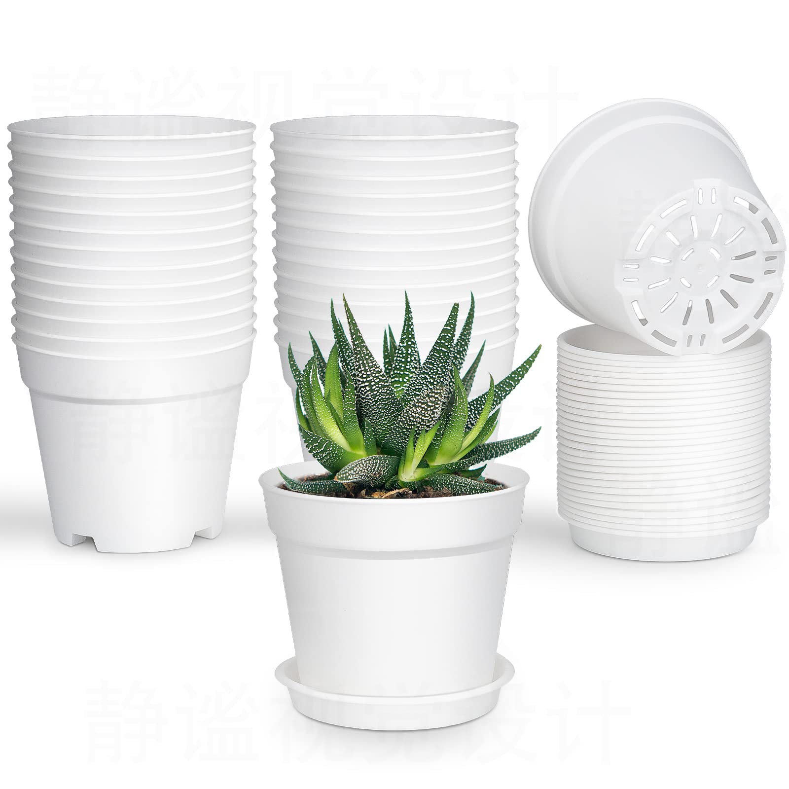 SwinDuck 28-pack 4-inch pot front view for seed starting and indoor planting.