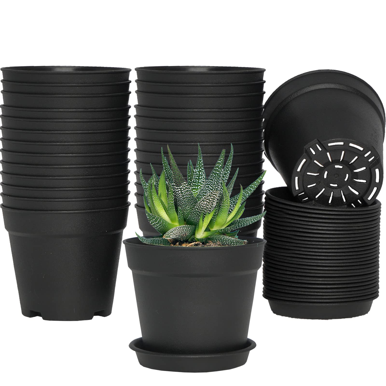 SwinDuck 4-inch pot with saucer for indoor plants and drainage.