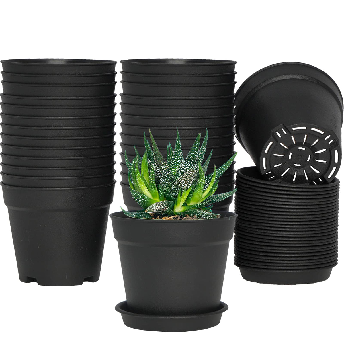 SwinDuck 4-inch pot with saucer for indoor plants and drainage.