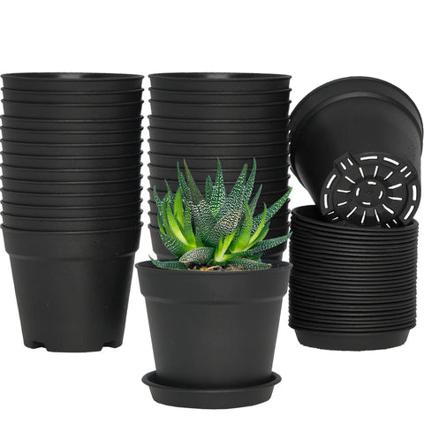 SwinDuck 4-inch pot with saucer for indoor plants and drainage.