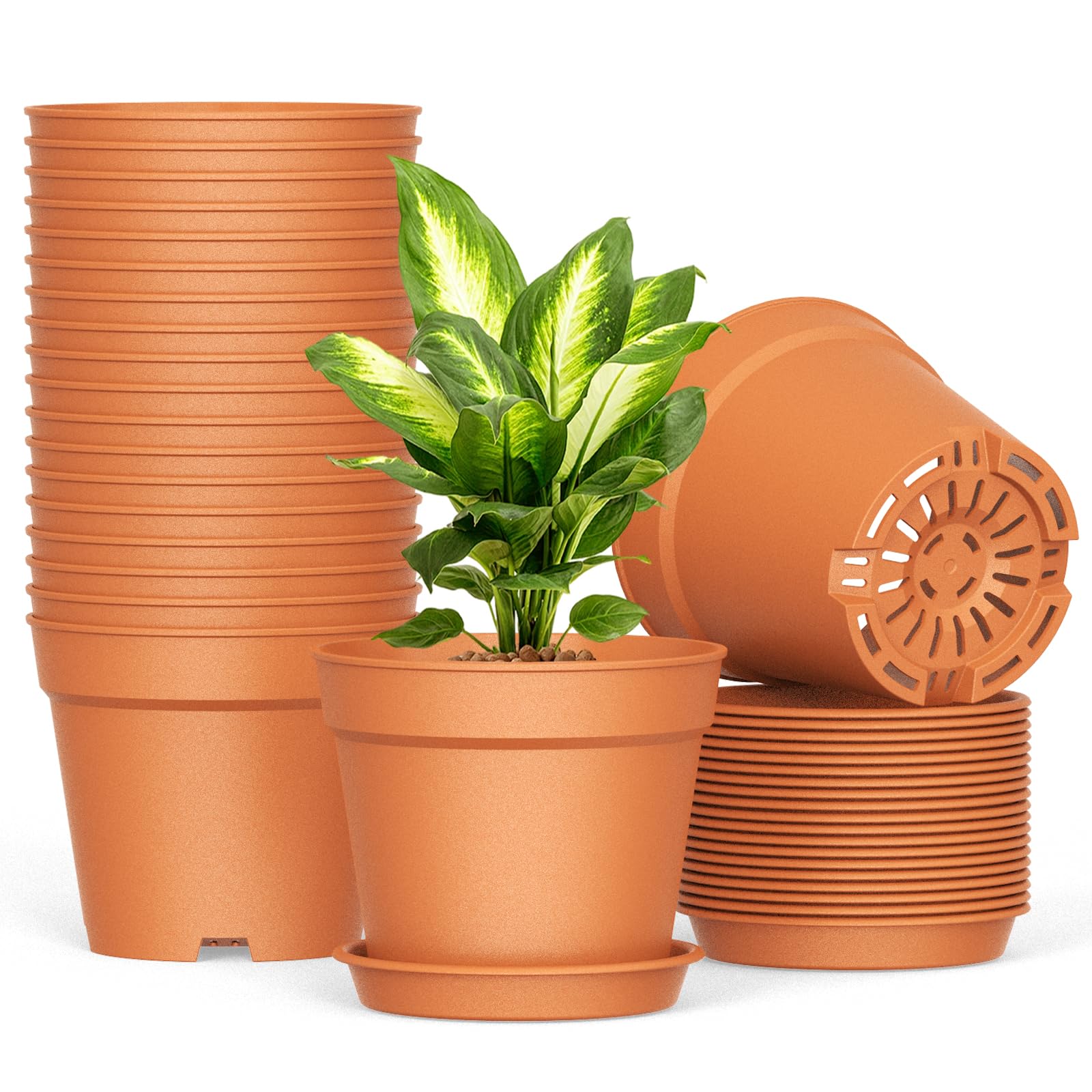 SwinDuck 6-inch pot showing drainage holes for healthy roots