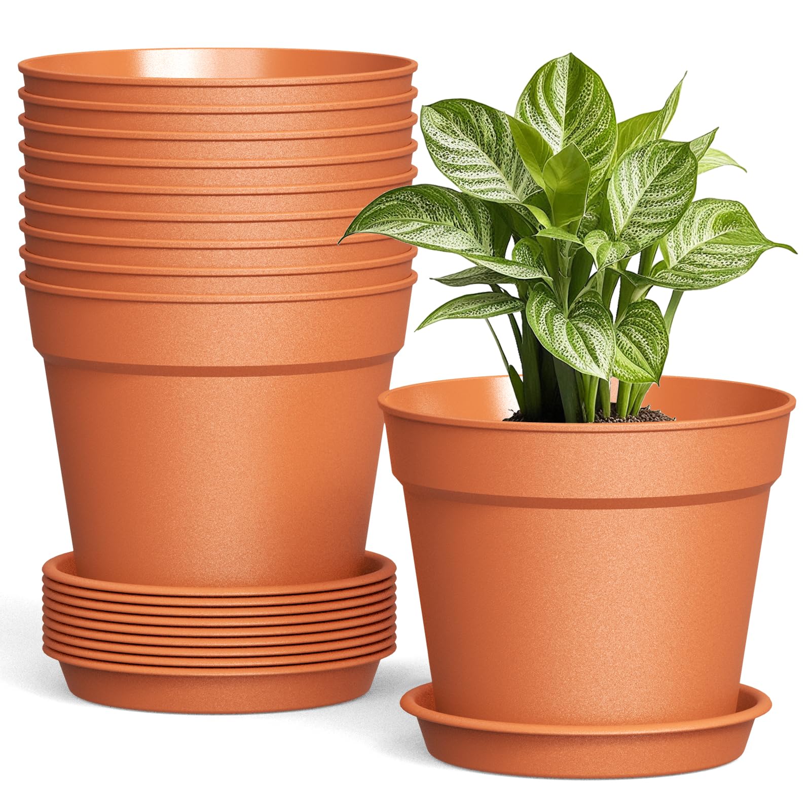 SwinDuck 6-inch plant pot with drainage for healthy roots and easy watering