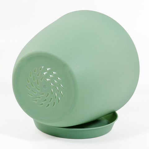 SwinDuck 6-inch white plant pot, sleek and versatile for any room.