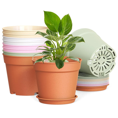 SwinDuck 6 inch pot with drainage and saucer ideal for indoor herbs