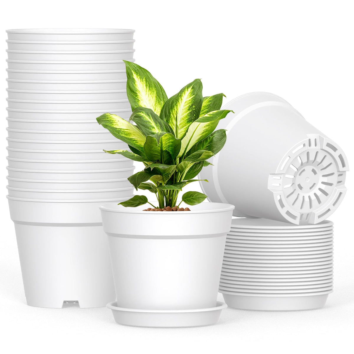 SwinDuck 6 inch plant pot with drainage holes and matching saucer for mess-free watering.