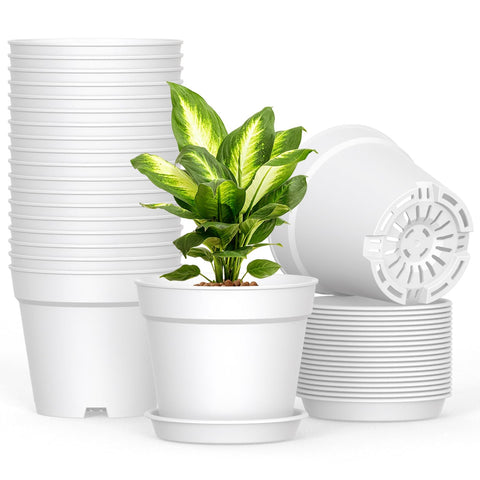 SwinDuck 6 inch plant pot with drainage holes and matching saucer for mess-free watering.