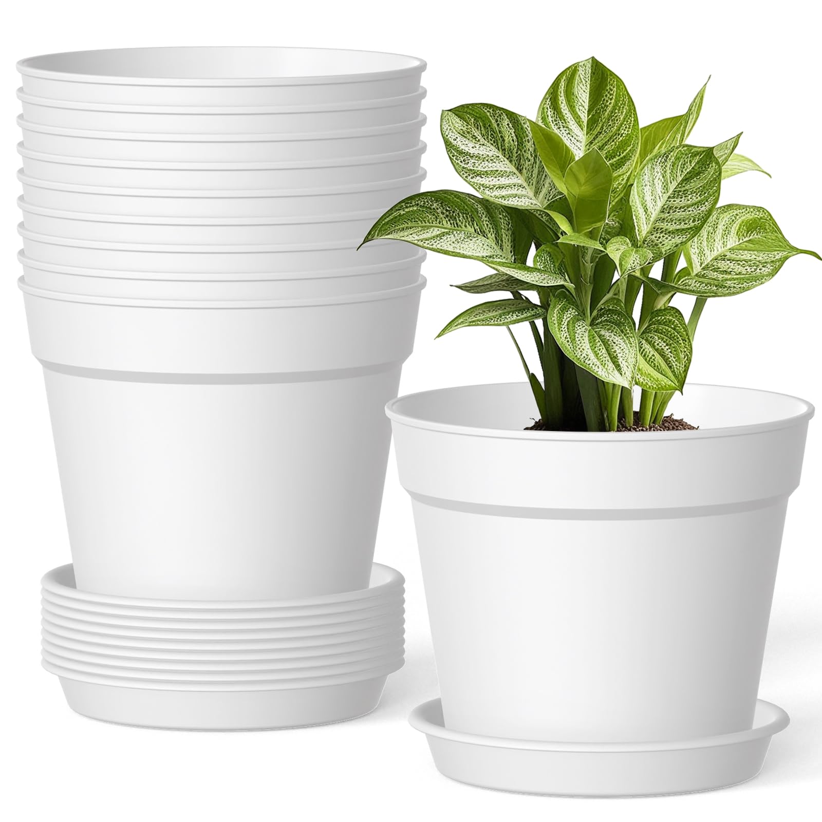 SwinDuck 6-inch pot with drainage promotes airflow for healthy roots.