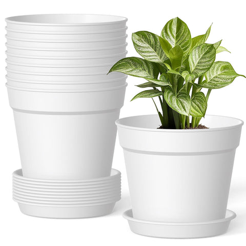 SwinDuck 6-inch pot with drainage promotes airflow for healthy roots.
