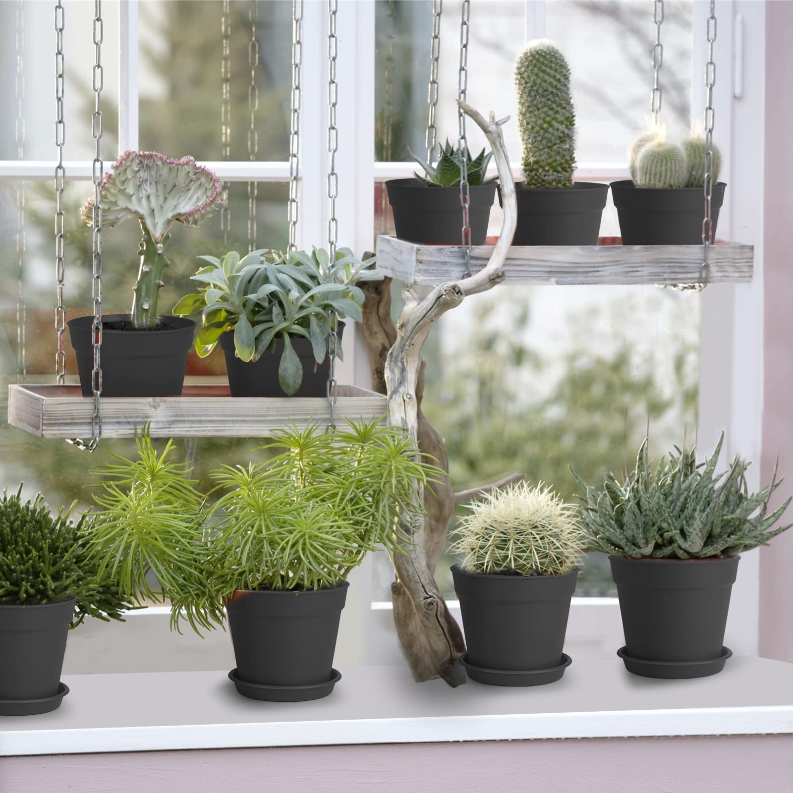 SwinDuck black 4-inch pot ideal for succulents and herbs.