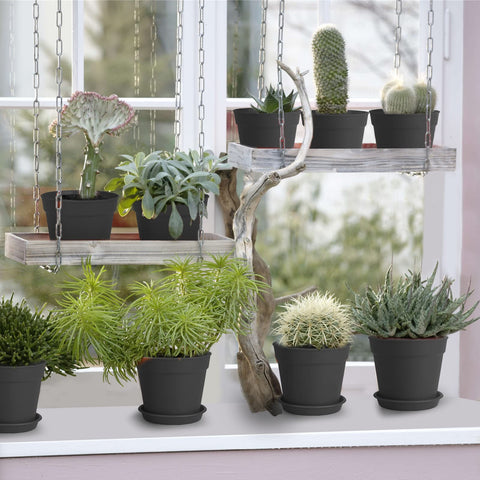 SwinDuck black 4-inch pot ideal for succulents and herbs.