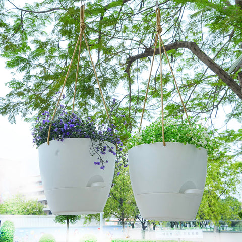 SwinDuck easy repotting design supports medium to large plants with simple soil transition.
