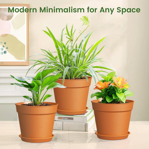 SwinDuck pot housing herb seedlings for indoor growing