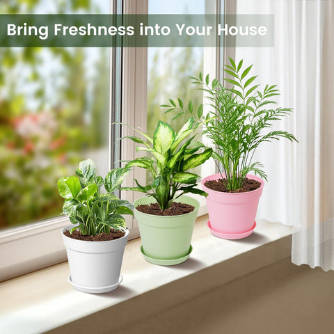 SwinDuck matte finish color pot adds modern style to any décor