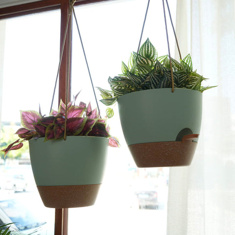 SwinDuck modern matte finish planters highlighting foliage in a stylish setting.