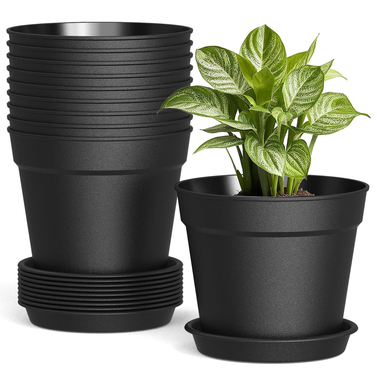 SwinDuck 6-inch plant pot with drainage holes and saucer for tidy water management.