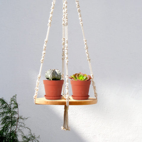 SwinDuck 4-inch pot ideal for seed starting and seedlings
