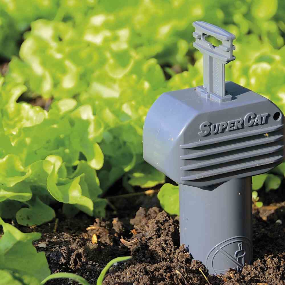 SWISSINNO Gopher and Vole Trap PRO side-angle view demonstrates its durable, reinforced base.