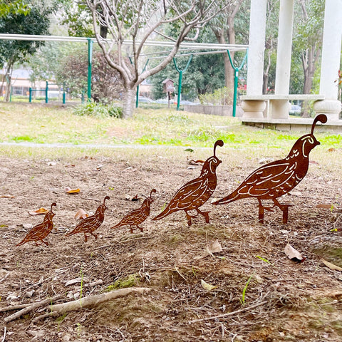 SWNACOR rusty quail family stakes set adds rustic charm to gardens.